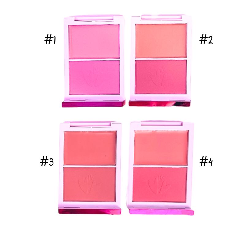 PALETA RUBOR COMPACTO Y CREMA BLUSH & SHINE PAULIS