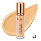CORRECTOR LIQUIDO PAULIS