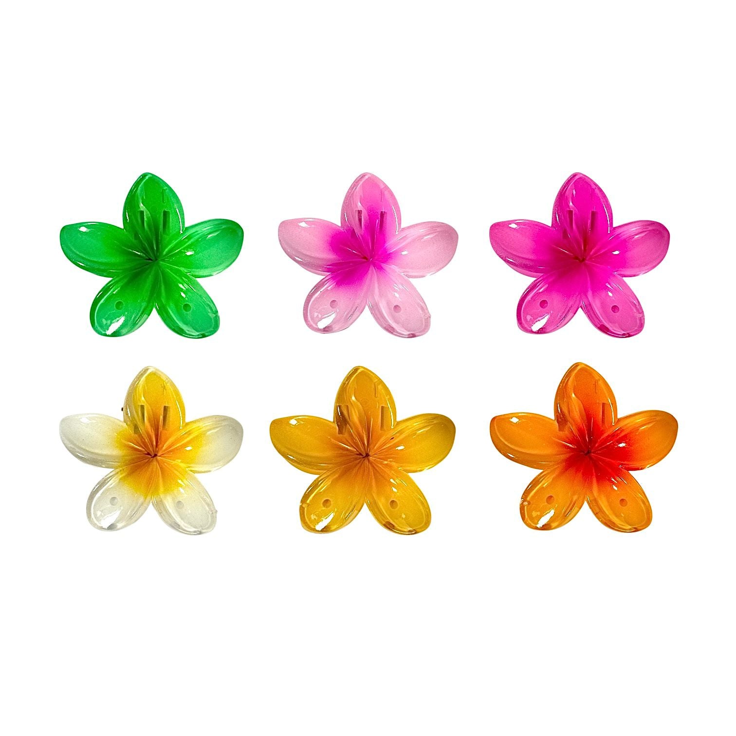 CAIMAN MEDIANO FLOR HAWAIANA