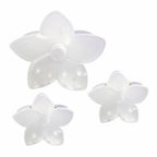 CARTON CAIMAN GRANDE FLOR 5 PETALOS Y 2 MINI CAIMAN FLOR COLORES TRANPARENTES