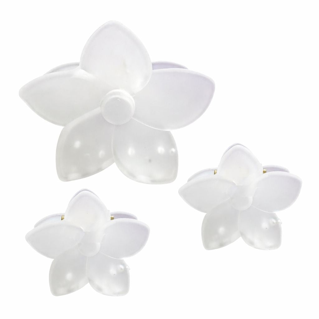 CARTON CAIMAN GRANDE FLOR 5 PETALOS Y 2 MINI CAIMAN FLOR COLORES TRANPARENTES
