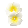 CARTON X2 PINZAS MEDIANAS FLOR FRANGIPANI