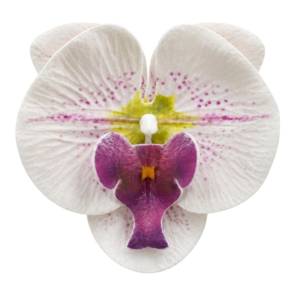 CARTON PINZA FLOR GRANDE ORQUIDEA