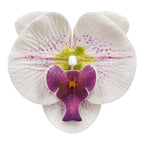 CARTON PINZA FLOR GRANDE ORQUIDEA