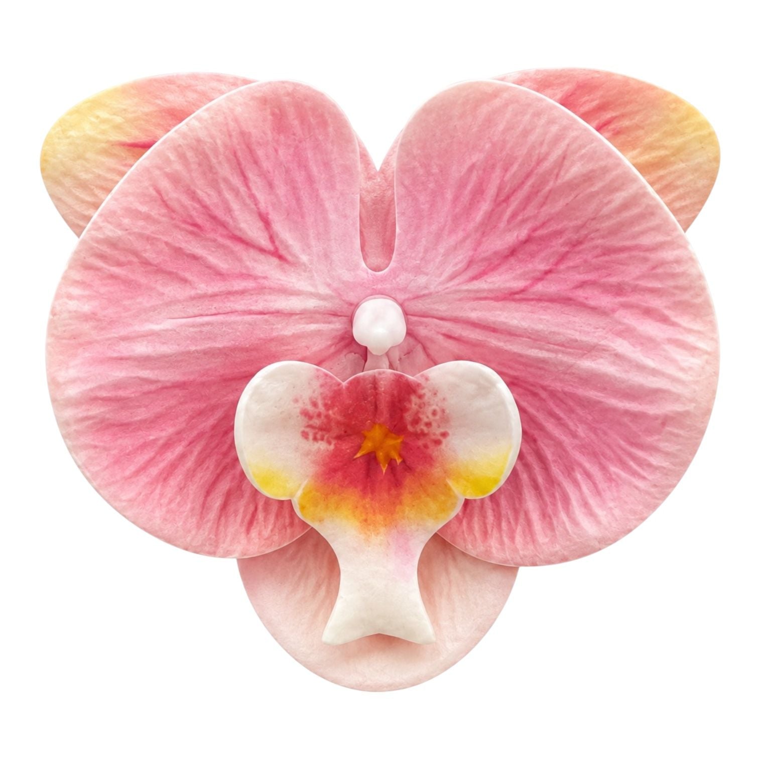 CARTON PINZA FLOR GRANDE ORQUIDEA
