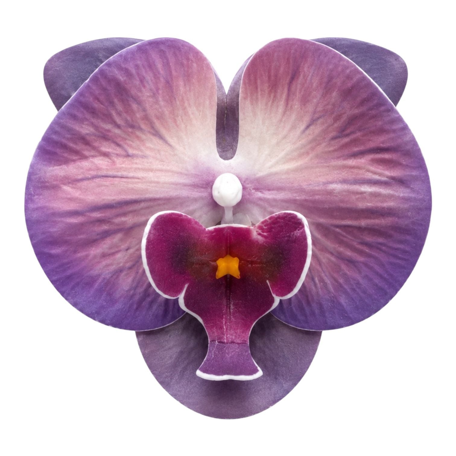CARTON PINZA FLOR GRANDE ORQUIDEA
